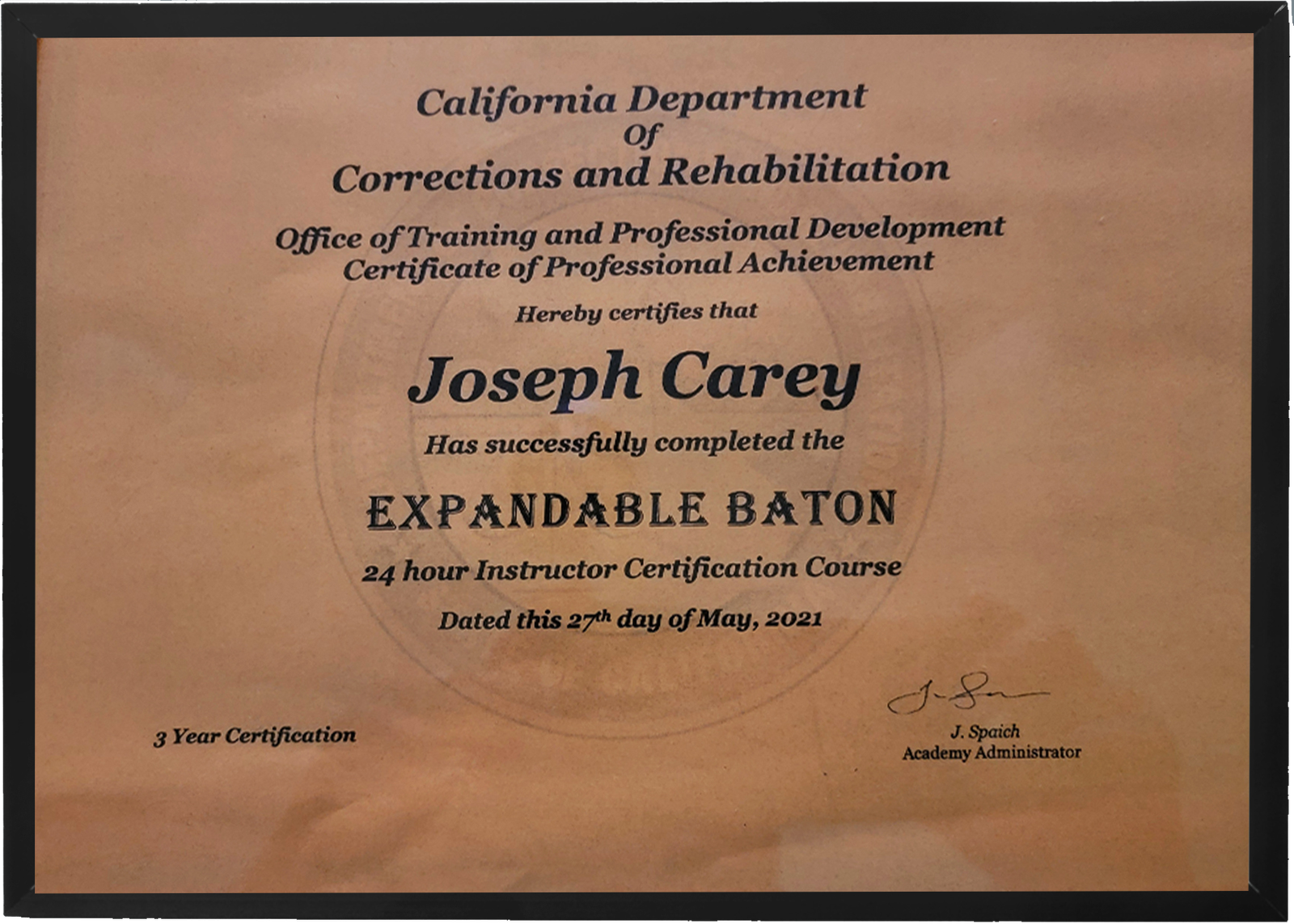 Professional Achievement